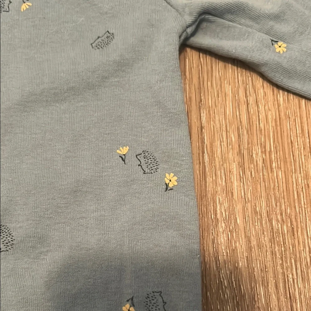 Carter's Blue Long Sleeve Bodysuit with Little Floral Design